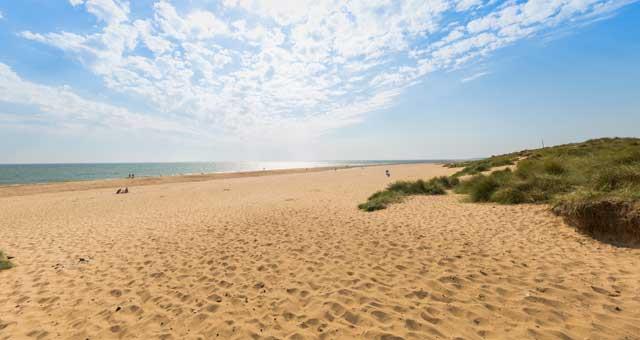 WOS Beach